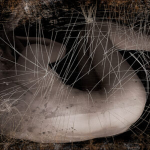 Sans Tache #40 1/5
