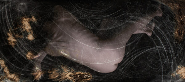 Sans Tache #14